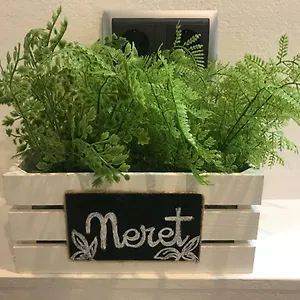 https://apartament-neret-ii.catalonia-hotels.com